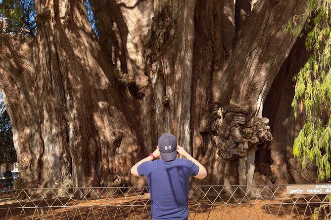 Monte Alban Mitla and More Tour of Oaxaca - FAQ