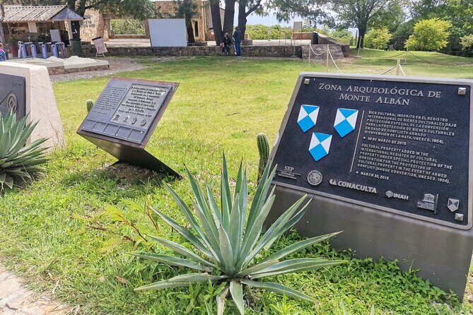 Monte Alban Only - Half Day Guided Tour - Oaxaca - Pricing and Value