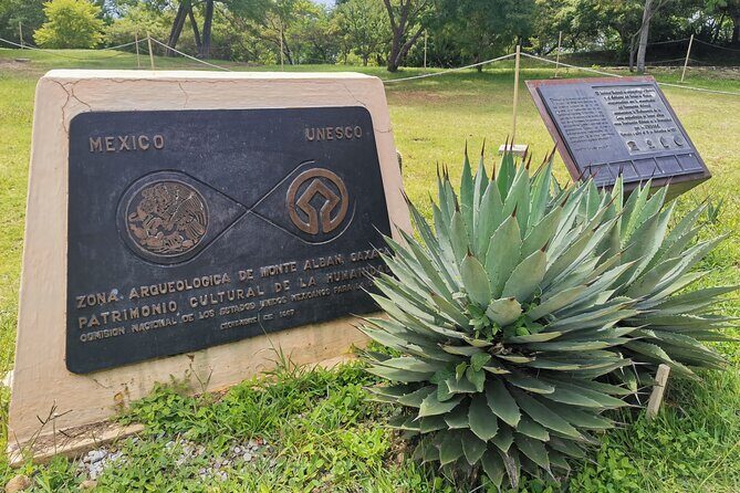 Monte Alban Only - Half Day Guided Tour - Oaxaca - Frequently Asked Questions