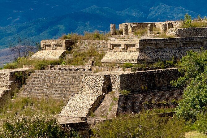 Monte Alban Tree of the Tule Mezcal and Teotitlan del Valle Tour - Exploring Oaxaca in One Day: What’s on the Itinerary?