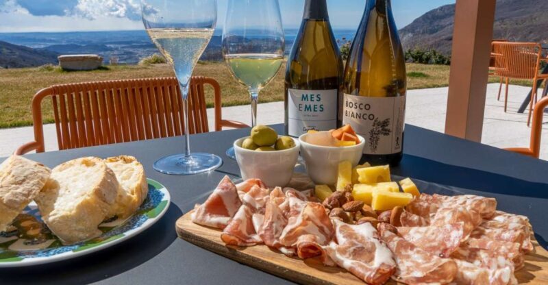 Monte Baldo: Organic Mountain Wines Tour and Tasting - The Vineyard and Cellar Tour