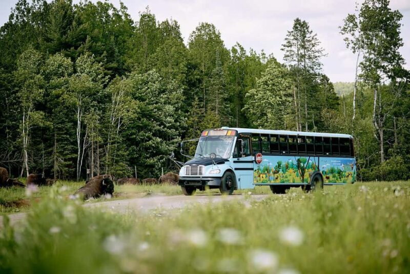 Montebello, QC: Morning VIP Tour at Parc Oméga - Key Points