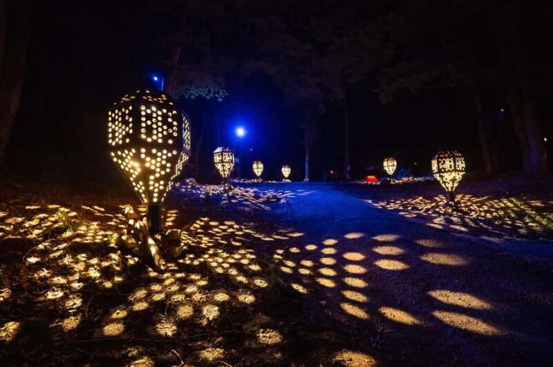 Montebello, QC: Parc Omega ONIRO Immersive Experience at Night - The Experience’s Highlights