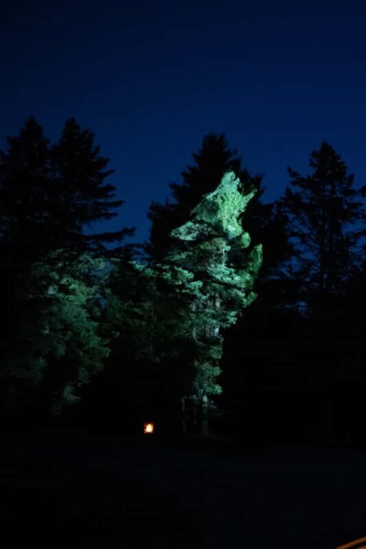 Montebello, QC: Parc Omega ONIRO Immersive Experience at Night - The Value of ONIRO at Parc Omega