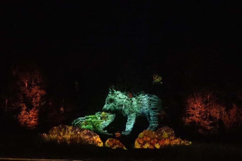 Montebello, QC: Parc Omega ONIRO Immersive Experience at Night - Who Will Love This Experience?