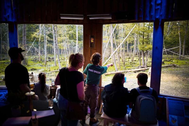 Montebello, QC: Parc Omega Wolves Experience with Cocktail & Guide - Why This Tour Is Worth Considering