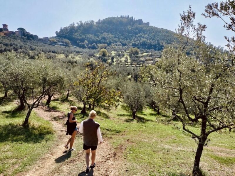 Montecatini Terme: Olive Grove Tour with Oil Tasting - Montecatini Terme: Olive Grove Tour with Oil Tasting — An Authentic Slice of Tuscany
