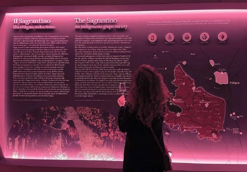 MONTEFALCO: entrance tiket to the San Francesco Museum - Exploring the San Francesco Museum in Montefalco: An Authentic Cultural Experience