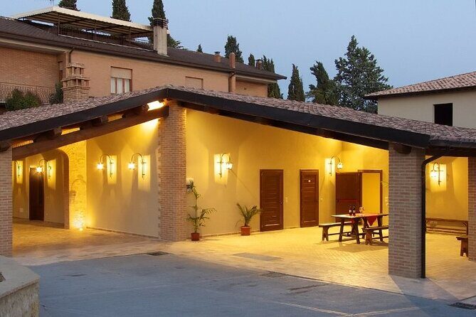 Montefalco: Winery and Oil Mill Tour in with Light Lunch - Practical Details and What to Expect