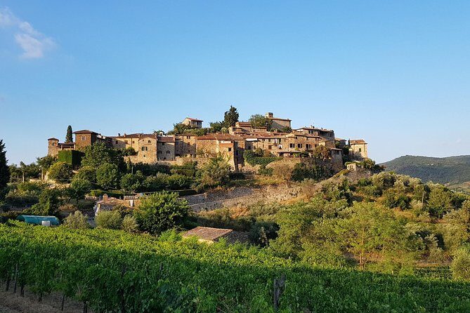 Montefioralle Winery - Tour and Wine Tasting in Chianti - FAQ