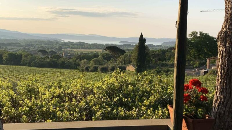 MONTEMELINO RARE WINES SELECTION - Final Thoughts