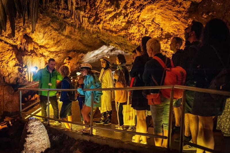 Montenegro: Lipa Cave Guided Tour with Transfer - An In-Depth Look at the Lipa Cave Guided Tour