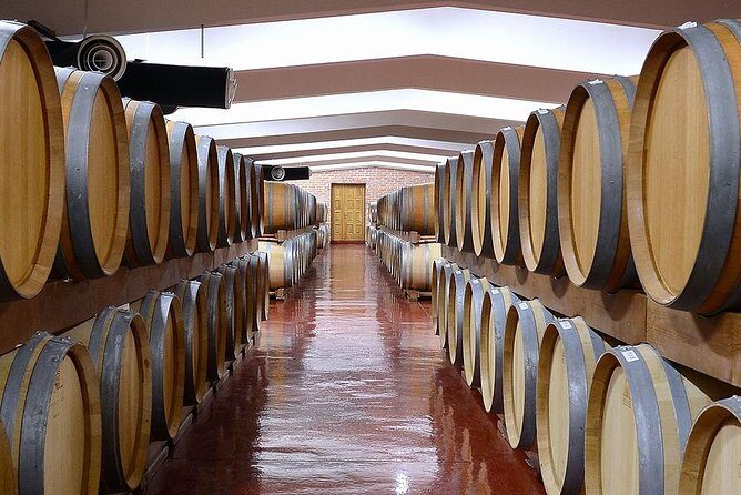 Montenegro wine tasting (Private tour) - Key Points