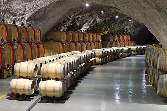 Montenegro wine tasting (Private tour) - Authenticity and Value