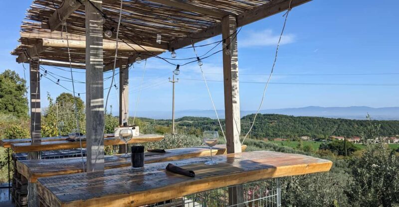 Montepulciano: Artisan Heroic Wine Tasting at the Terrace - The Vineyard Tour: Nature and Craftsmanship in Focus