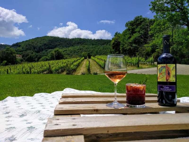 MONTEPULCIANO - PIC NIC WITH WINE! SURROUNDED BY VINEYARDS - FAQs