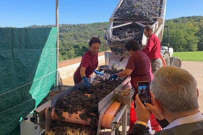 Montepulciano Pienza Montalcino Tour from Florence - An In-Depth Look at the Tour Experience