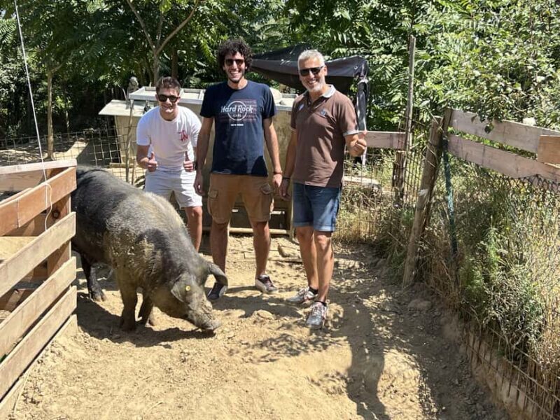 Montepulciano: Pig Farm Tour with Traditional Lunch - The Bottom Line