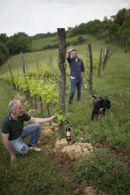 MONTEPULCIANO TASTE OF TUSCANY HEROIC WINES, CRU&LIMITED ED. - An In-Depth Look at the Experience