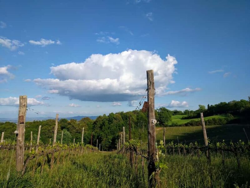 MONTEPULCIANO TASTE OF TUSCANY HEROIC WINES, CRU&LIMITED ED. - The Sum Up