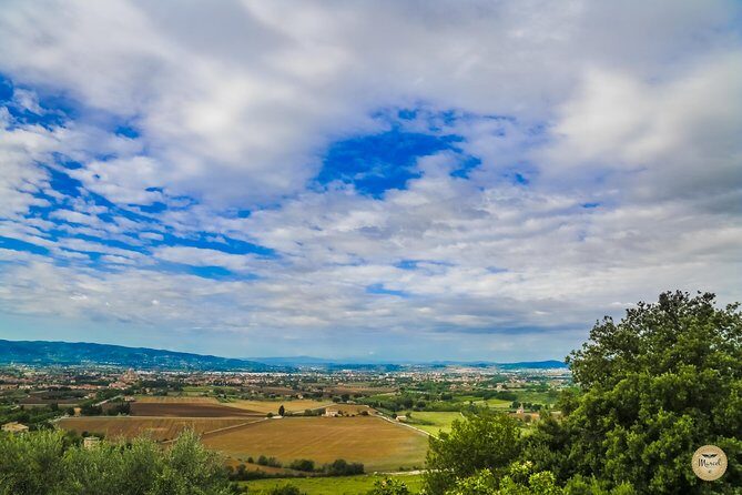 Montepulciano Wine Tasting and Assisi Private Day Tour from Rome - Final Stop: Santuario della Spoliazione and Carlo Acutis’ Grave