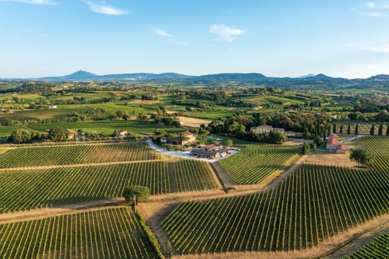 Montepulciano: Wine Tasting in the Tuscan countryside - Frequently Asked Questions