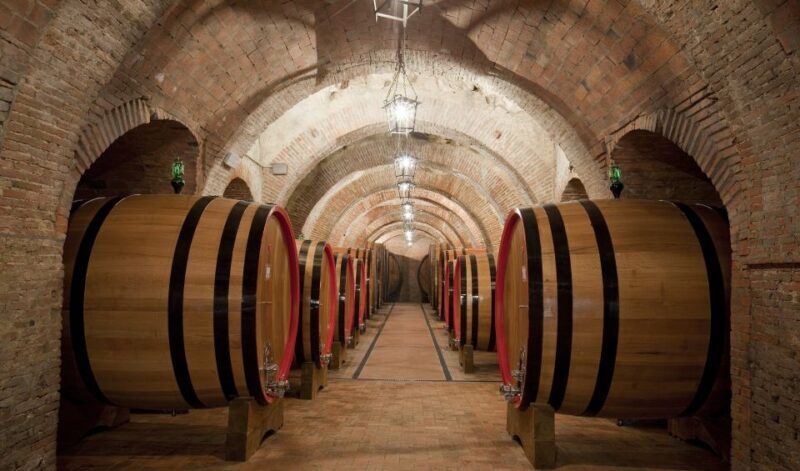 Montepulciano: Wine Tasting & Lunch in a Typical Winery - Review Highlights & Authentic Guest Insights
