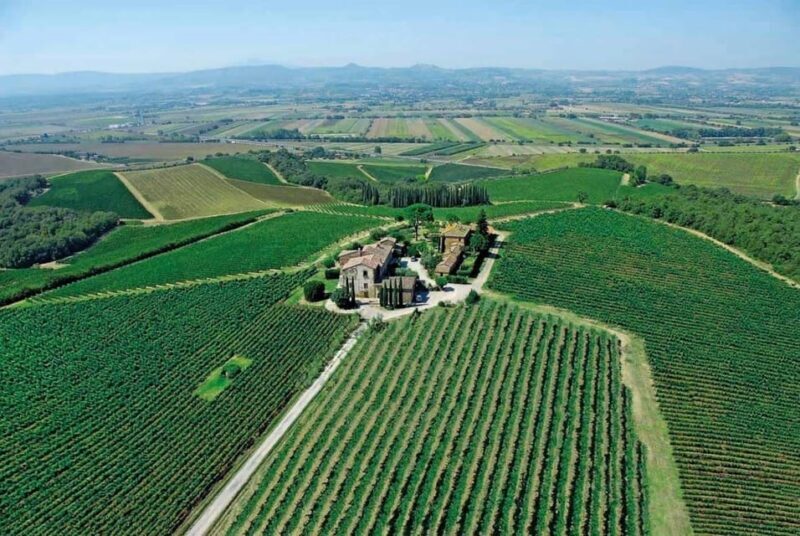 Montepulciano: Wine Tour and tasting - Key Points