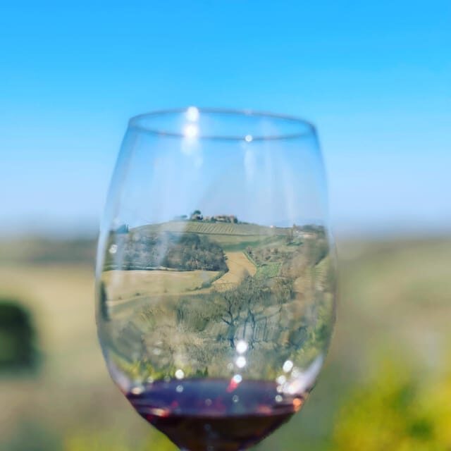 Montepulciano: Wine Tour and tasting - The Value of the Experience