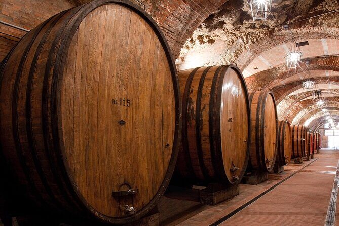 Montepulciano: Winery Tour & Tasting Experience - Final Thoughts: Is It Worth It?