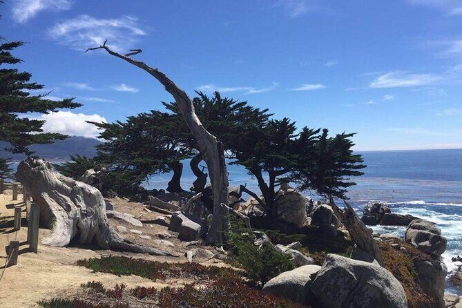 Monterey 1-Day Tour - Key Points
