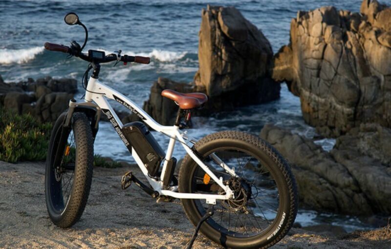 Monterey: 17-Mile Drive Guided E-Bike Tour - Key Points: