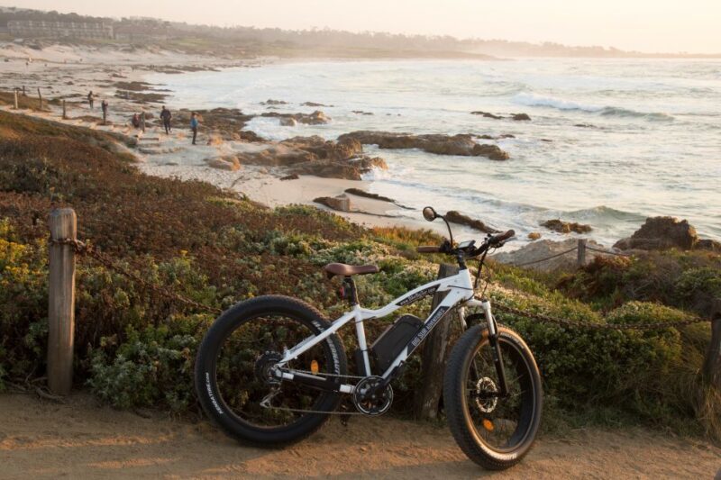 Monterey and 17 Mile Drive: Half-Day Electric Bike Rental - Wildlife and Scenery