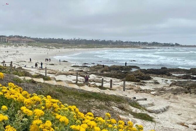 Monterey Bay Famous Dog Friendly Electric Bike and Sidecar Tour - The Experience: From Coastal Roads to Beachfront Bliss