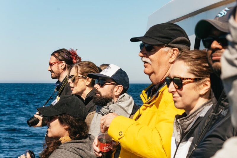 Monterey Bay: Whale Watching Tour - Final Thoughts