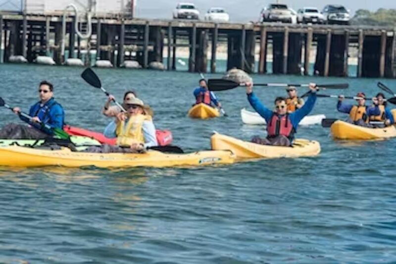Monterey: Cannery Row Kayak Tour - An Authentic Look at the Cannery Row Kayak Tour