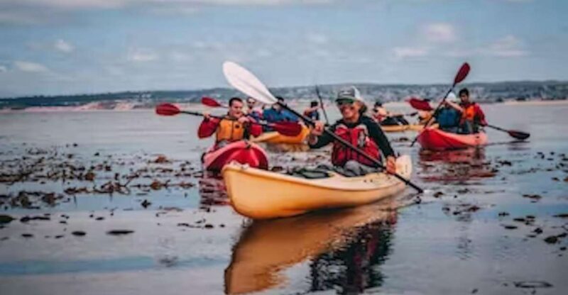 Monterey: Cannery Row Kayak Tour - Authentic Experience and Authentic Guides