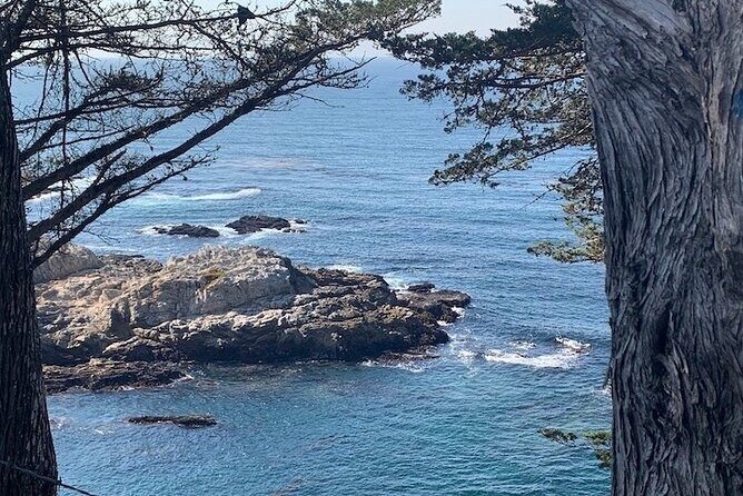 Monterey Carmel Big Sur Pebble Beach by Luxury Vehicle 5 hrs~ - Key Points