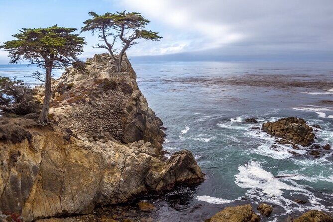 Monterey Carmel Big Sur Pebble Beach by Luxury Vehicle 5 hrs~ - Who Should Consider This Tour?