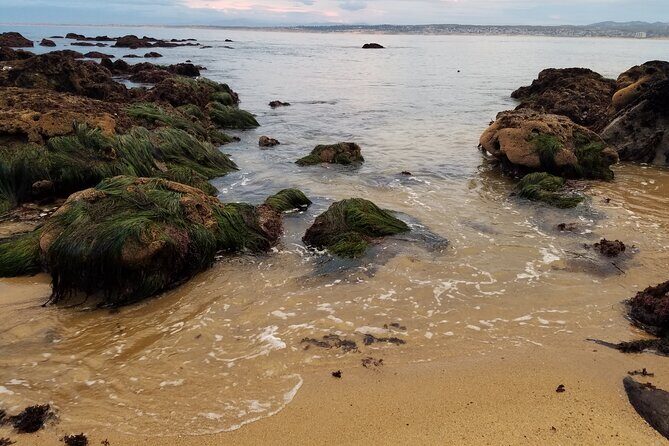 Monterey & Carmel Sightseeing Private Tour (10-Hour minimum) - Price & Value Considerations