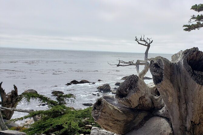Monterey & Carmel Sightseeing Private Tour (10-Hour minimum) - Final Thoughts: Is It Worth It?