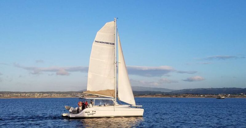 Monterey: Catamaran Sailing Cruise - Who Should Consider This Tour?