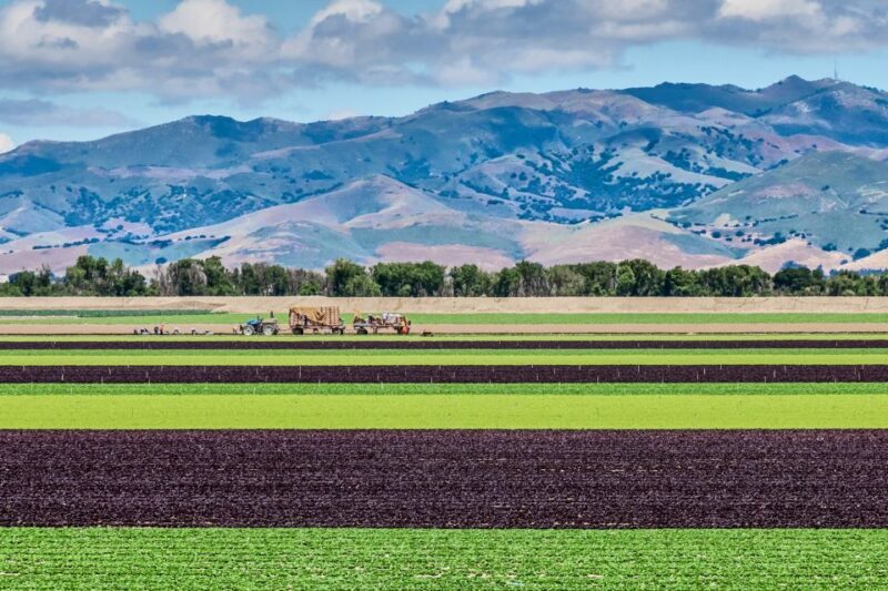 Monterey County Salinas Valley Farm Tour - Pricing and Value