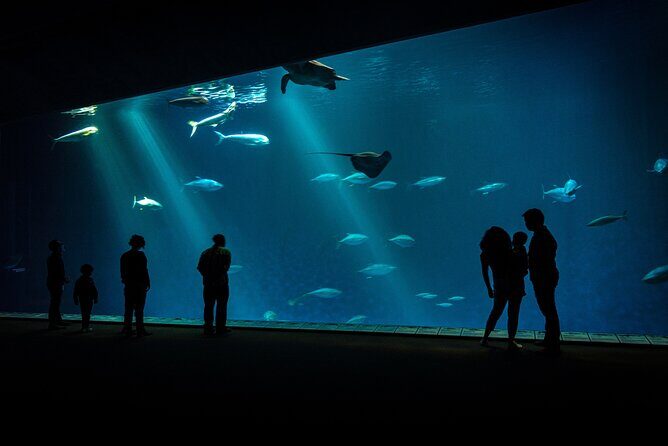 Monterey: Ocean Paradise, Trolley and Walking Tour - The Sum Up: Who Should Consider This Tour?