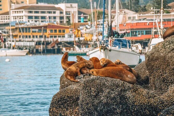 Monterey: Ocean Paradise, Trolley and Walking Tour - FAQ
