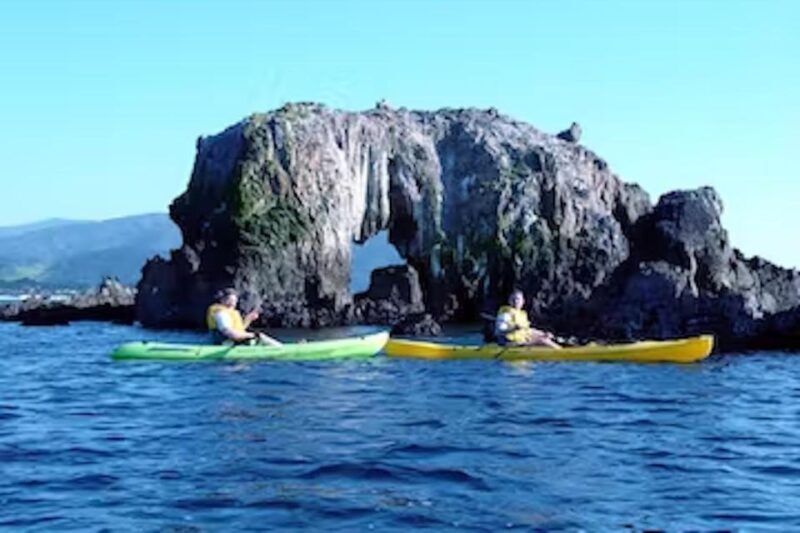 Monterey: Pebble Beach Kayak Tour - Exploring the Pebble Beach Kayak Tour in Depth