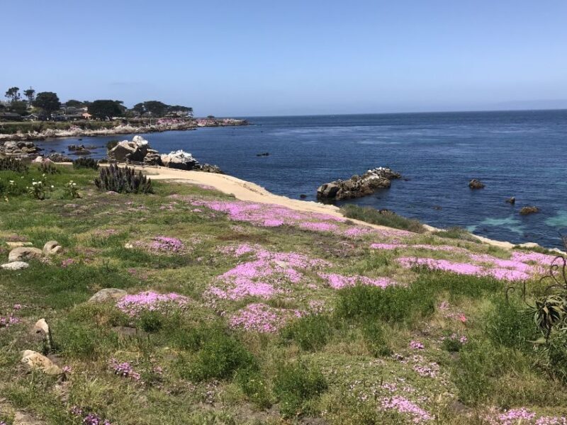 Monterey Peninsula Sightseeing Tour including 17 Mile Drive - Key Points