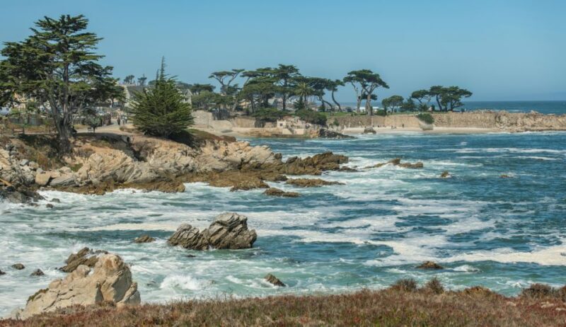 Monterey Peninsula Sightseeing Tour including 17 Mile Drive - Introduction: A Scenic Snapshot of California’s Coastline