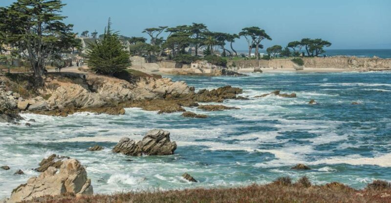 Monterey Peninsula Sightseeing Tour including 17 Mile Drive - Why This Tour Offers Good Value