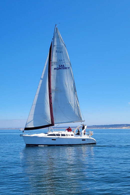 Monterey: Private Whale Watching/Sailing Tour for 6 - Key Points